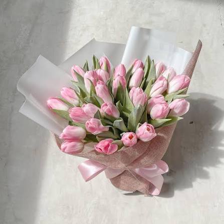 Tulip Soft Pink